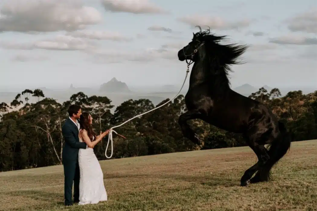 private wedding venue qld